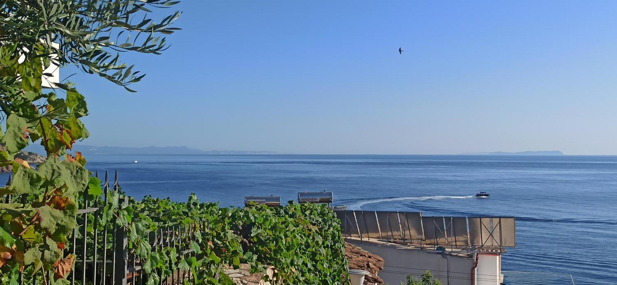Hotel Relaxation Place Himarë Exterior foto